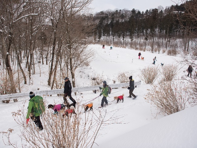 �~�̃c�A�[������܂�_Moora Beat�i���[���r�[�g�j