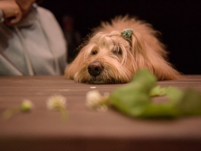 �����ƃe�B�[�^�C��_Moora Beat�i���[���r�[�g�j