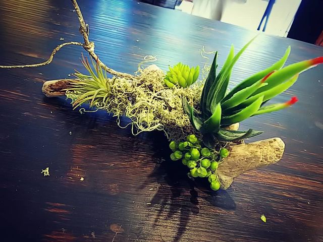 �̌��ҍ�i_�N�v���A�Ԃ͔��΂�