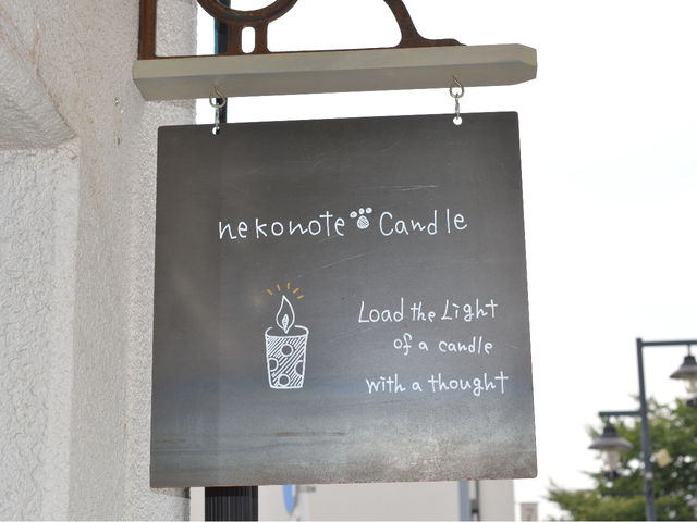 nekonote*�L�����h���̎ʐ^1