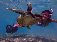 Reeftour HONEY�̎ʐ^1