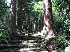 熊野古道探訪プロジェクトの写真1