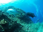 _CrOXe[V@KANCHI̎ʐ^2