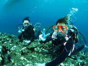 _CrOXe[V@KANCHI̎ʐ^3