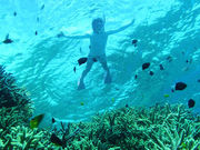 lCVуVbvHaiSai̎ʐ^4