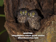 X|b^[Ί_lC`[KChT[rX̎ʐ^2