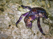 X|b^[Ί_lC`[KChT[rX̎ʐ^3