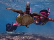 Reeftour HONEY̎ʐ^2