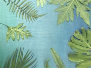 MAHINA@Island@Naturals̎ʐ^3