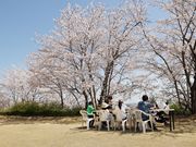 NIKKOEN@BBQ&PARTY@GARDEN̎ʐ^4