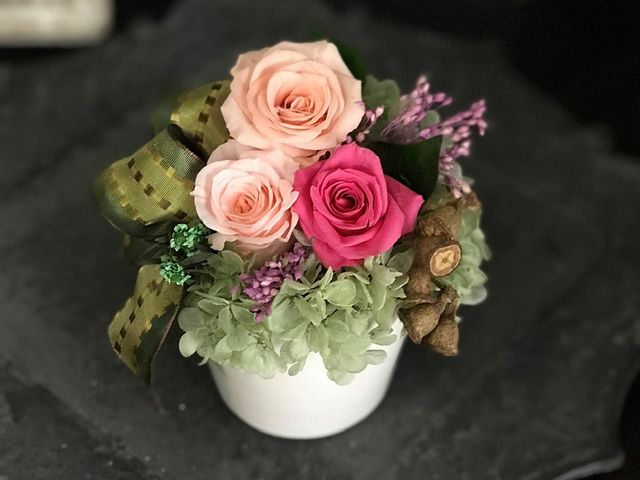 atelier NOIX�`�A�g���G�E�m���`