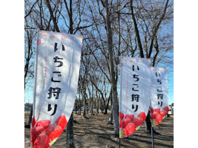 �̂ڂ肪�ڈ�_�X�t�@�[���T�[�r�X