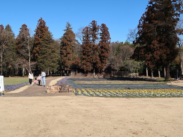 ���X�g�����ւ̂�񂪓�_�X�t�@�[���T�[�r�X