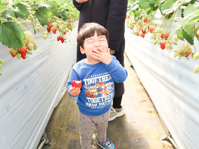 ���������[�I�I_�X�t�@�[���T�[�r�X