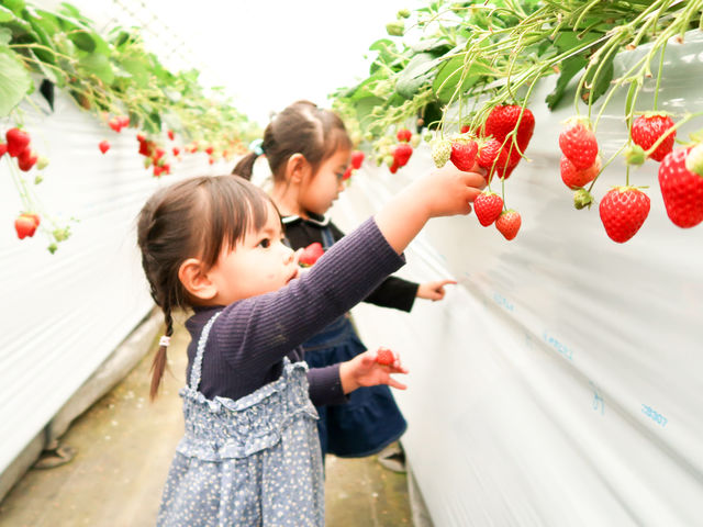 ���Ԃ�łƂ���_�X�t�@�[���T�[�r�X