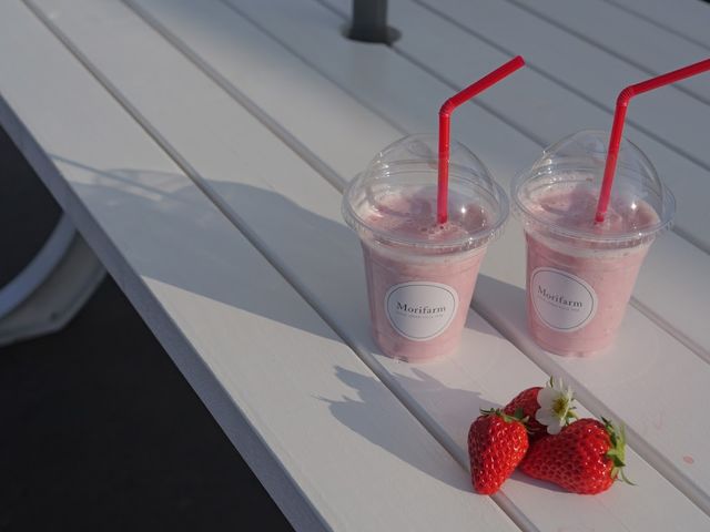 �����������Ղ�̃X���[�W�[�B�e�C�N�A�E�g��X�̃x���`�łǂ����I_�X�t�@�[���T�[�r�X