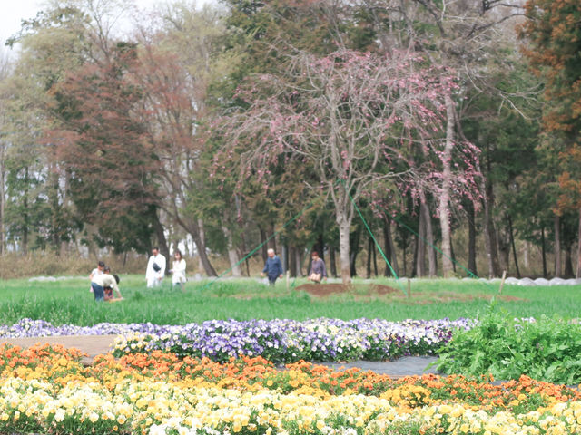 ���U���ł��܂�_�X�t�@�[���T�[�r�X