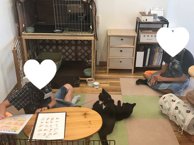 ���n�^�ی�L�J�t�F�@CAT�@HOME�@GARDEN