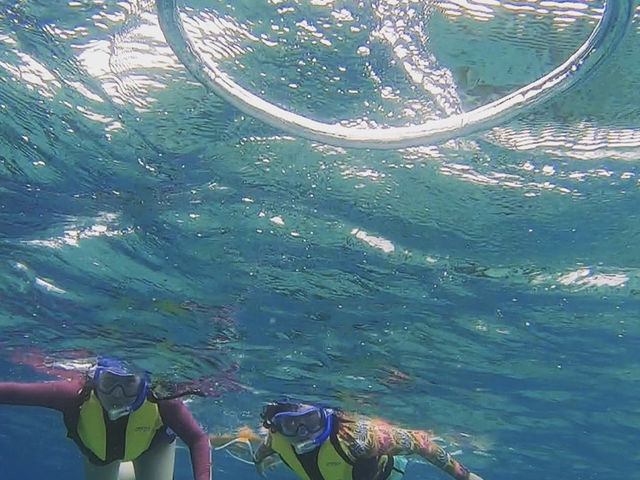 �{�Ó��@�}�����K�C�h�@���l�@-�����񂿂�-