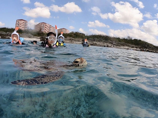 �{�Ó��@�}�����K�C�h�@���l�@-�����񂿂�-