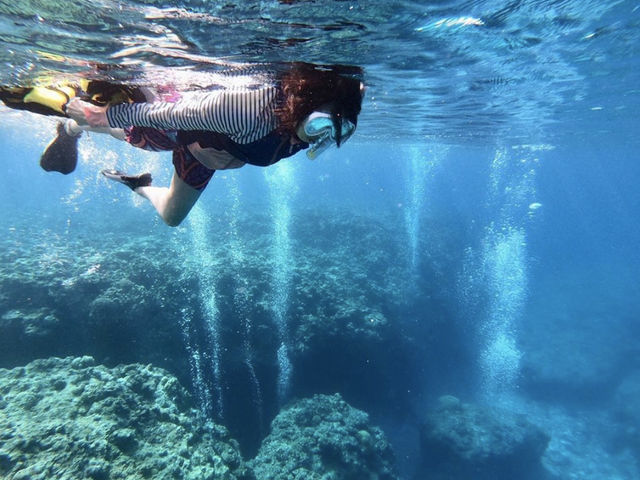 �{�Ó��@�}�����K�C�h�@���l�@-�����񂿂�-