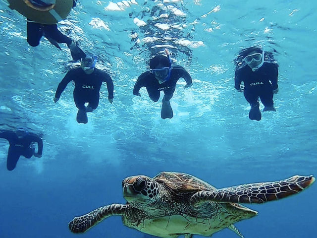 �{�Ó��@�}�����K�C�h�@���l�@-�����񂿂�-