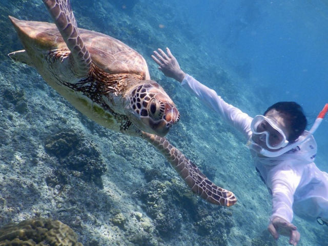 �{�Ó��@�}�����K�C�h�@���l�@-�����񂿂�-