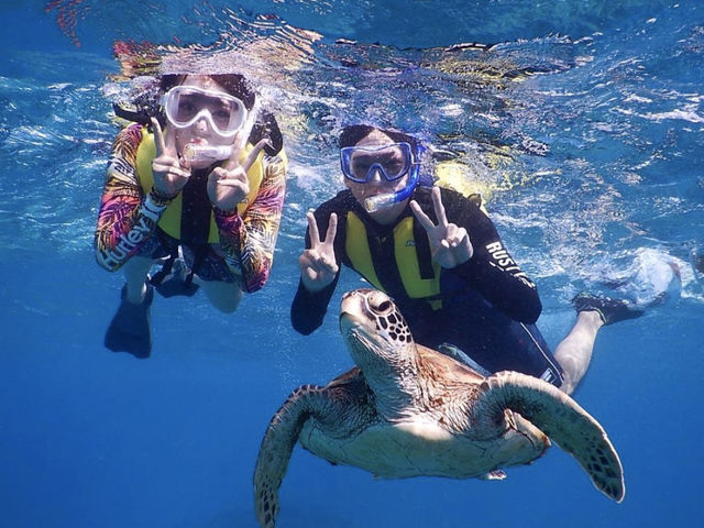 �{�Ó��@�}�����K�C�h�@���l�@-�����񂿂�-