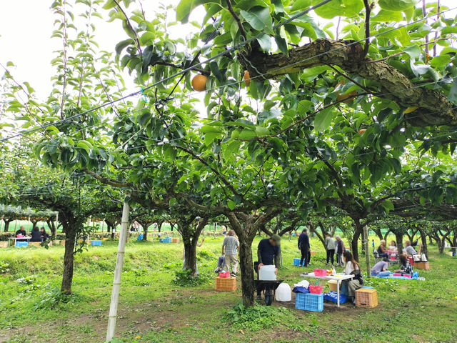 ؉AłAIłʎ̂ĂBKvȓiW[V[gȊOj͖݂oB_Ly