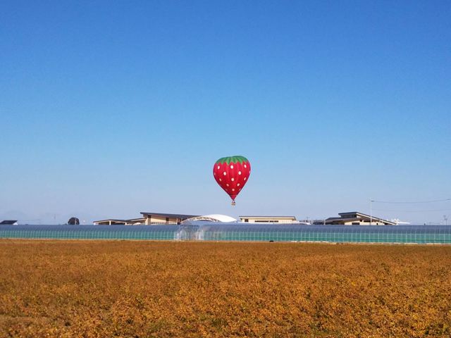 ���̉w �C�x���g
�������M�C��
_�X�g���x���[�����h�}��