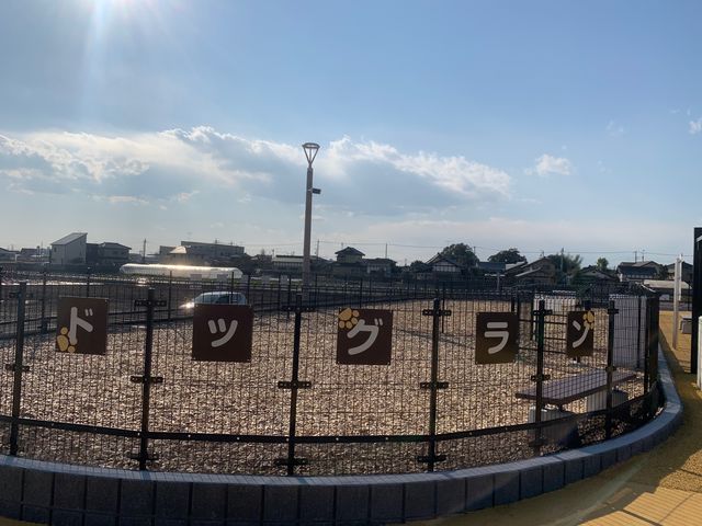 ���̉w�@�h�b�O����_�X�g���x���[�����h�}��