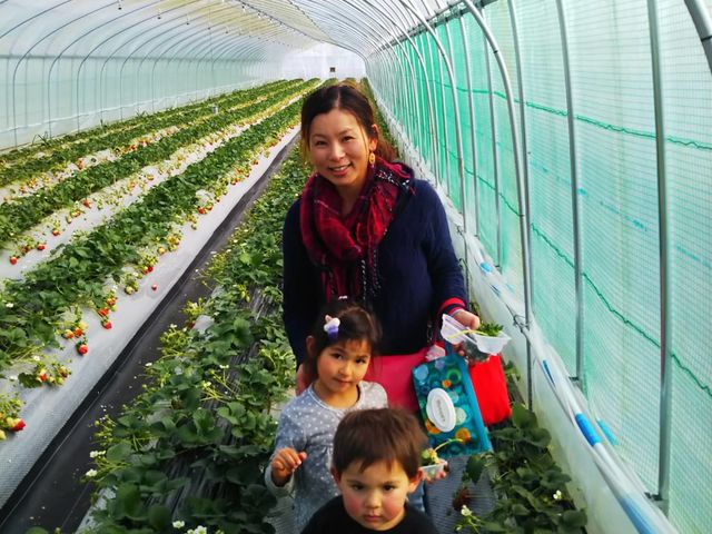 ���q�l2�l�A��ė��Ă��������܂����B
���肪�Ƃ��������܂����B_�X�g���x���[�����h�}��