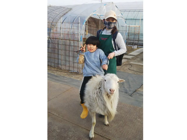 �䂫���Y�ƃ`�n���N_�X�g���x���[�����h�}��