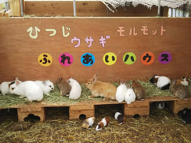 �ӂꂠ���n�E�X_�X�g���x���[�����h�}��