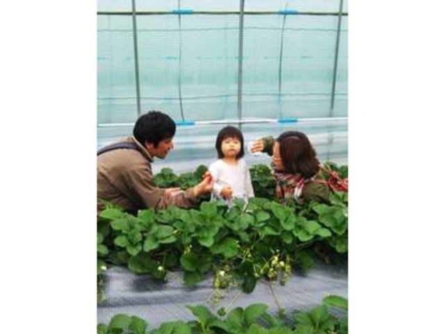 ���肪�Ƃ��������܂����B_�X�g���x���[�����h�}��