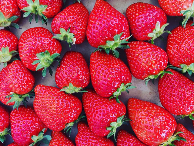 �p�b�N�̔�������܂��B_�ݓc�̔�