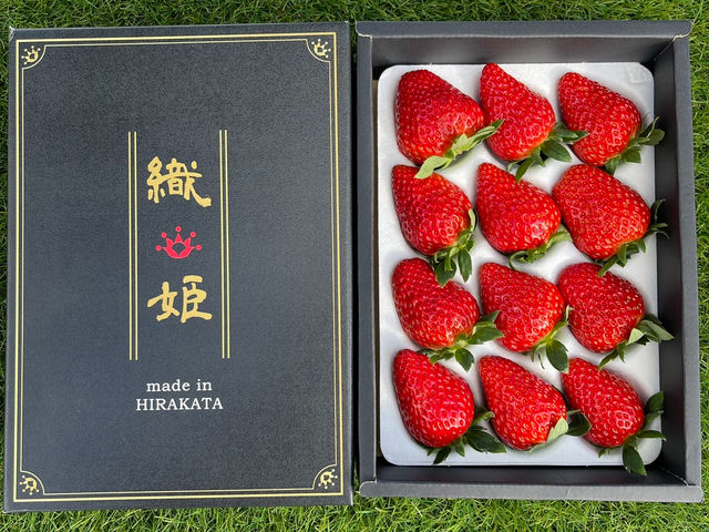 �����u�����h�������y�D�P�z_�ݓc�̔�