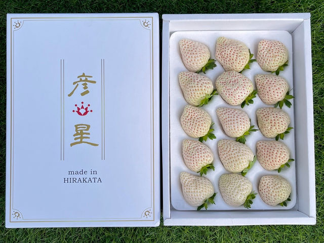 �����u�����h�������y�F���z_�ݓc�̔�