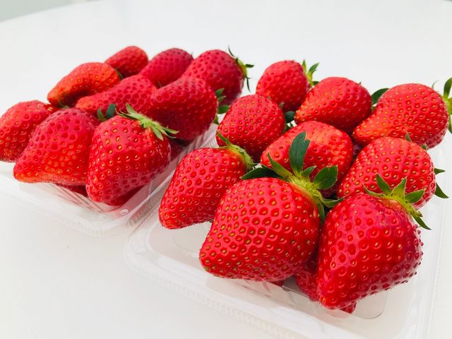 ���E�݂̂������p�b�N���̔����Ă��܂����i�����̈琬�󋵂ɂ��̔����ł��Ȃ��ꍇ���������܂��j_�w���i�E�X�g���x���[�����h