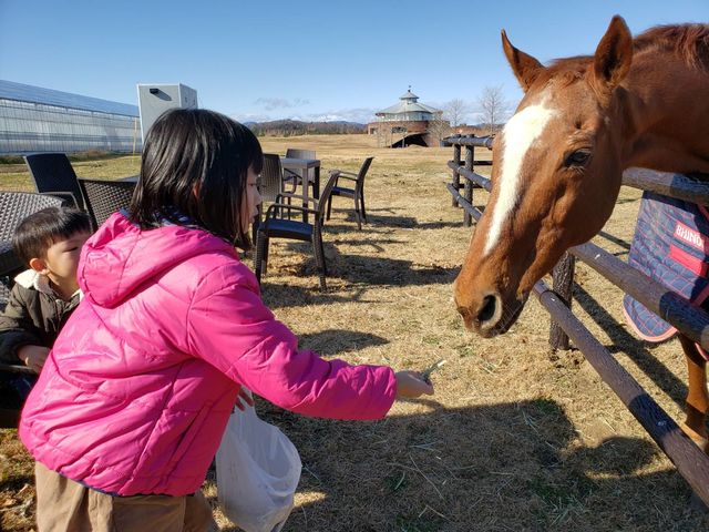 �ӂꂠ���L��ł��n����ɉa�������Ă݂܂��񂩁�_�w���i�E�X�g���x���[�����h