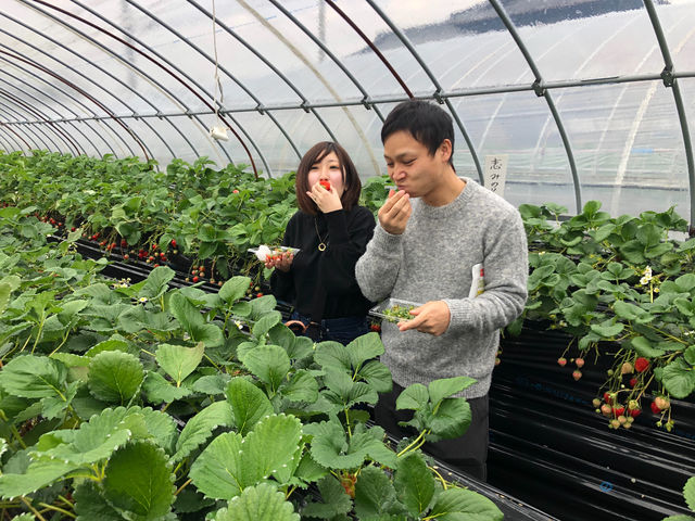 ���������I�@(���Ԃ�H)
�J�b�v���@�B�点�Ă��������܂���

_(�L)�G�X.�G�X.�P�C