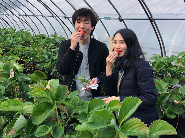 (�L)�G�X.�G�X.�P�C