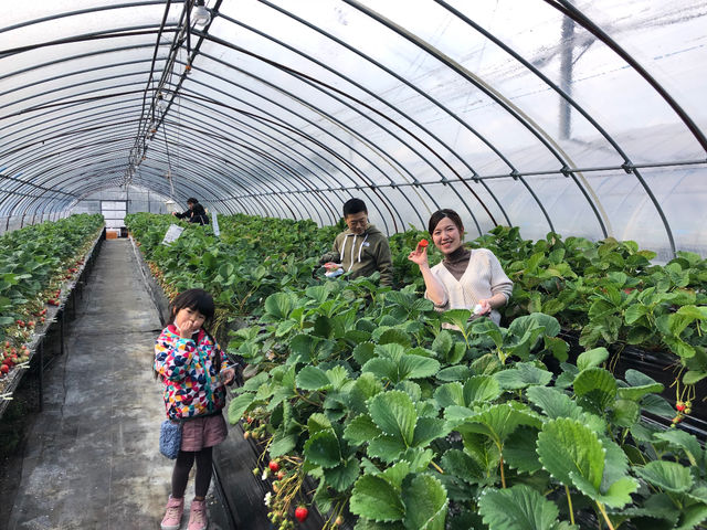 (�L)�G�X.�G�X.�P�C