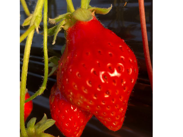 ���܂��Ƃ�
�������肩����@���т�@�H�ׂ���_(�L)�G�X.�G�X.�P�C