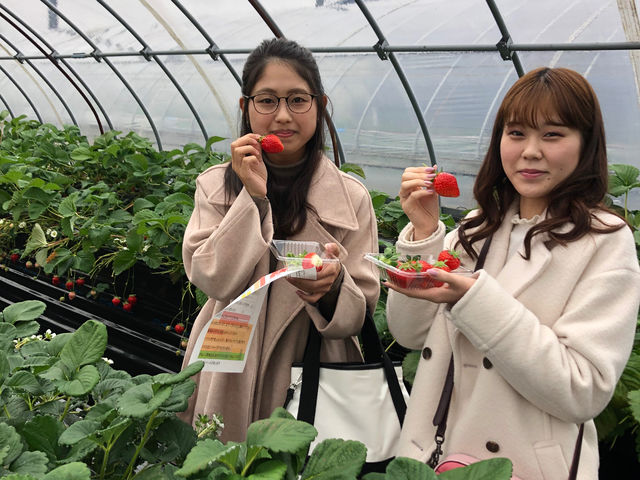 (�L)�G�X.�G�X.�P�C