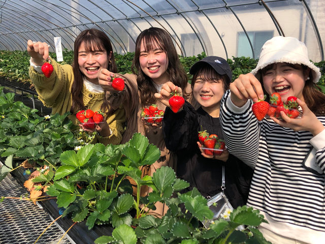 (�L)�G�X.�G�X.�P�C