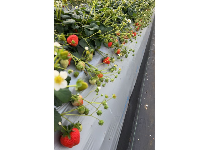 ���O�����������o���܂�_�Ђ��܂�_��