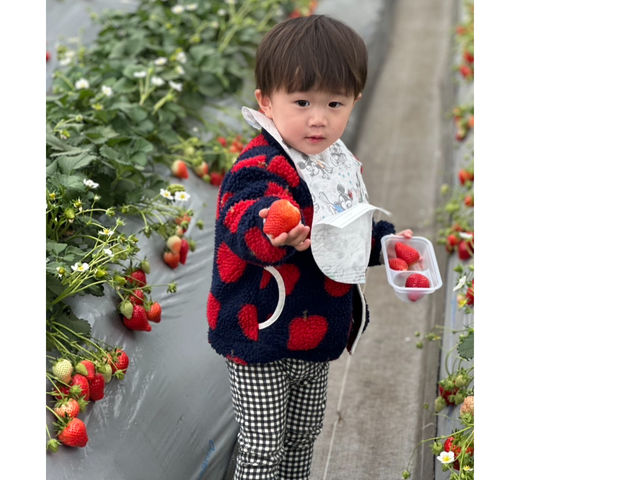 �y�k�͔|�ł����A���������̂�
���q�l�̖ڐ��ɂ�����������܂�_�Ђ��܂�_��