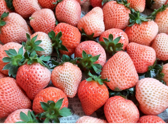 ��l�C(^^)���O_�Ђ��܂�_��