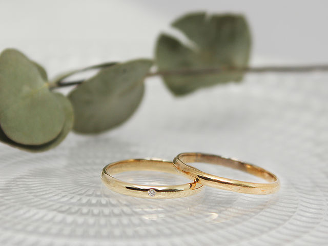 �l�C��K10�C�G���[�S�[���h�B�����Ƒ厖�ɂ��Ă������A��l�ȃy�A�����O�ł��B�I�v�V�����Ń_�C�������h�����邱�Ƃ��ł��܂��B_AIGIS�����E�\�Q���X